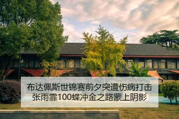 bu-da-pei-si-shi-jin-sai-qian-xi-tu-zao-shang-bing-da-ji-zhang-yu-fei-die-chong-jin-zhi-lu-meng-shang-yin-ying-2-977.jpg